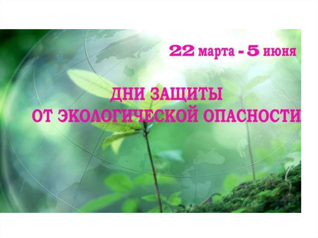 Роль международного сотрудничества в области экологической безопасности