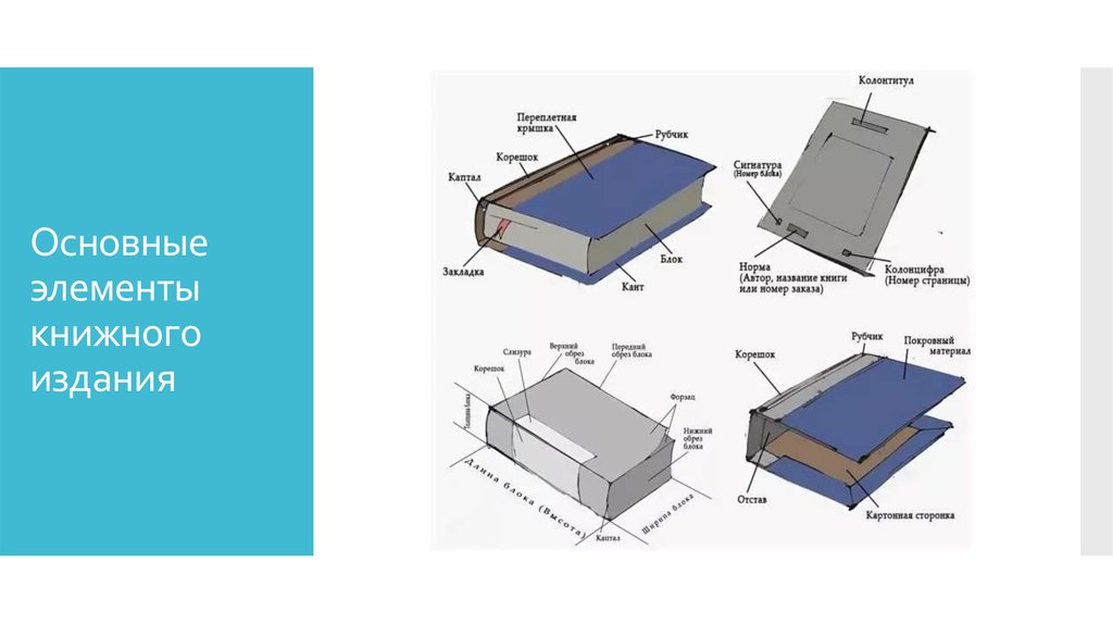Издание основных. Конструкция книжного издания. Основные элементы книжного издания. Детали книжного блока. Внешние элементы книжного блока.