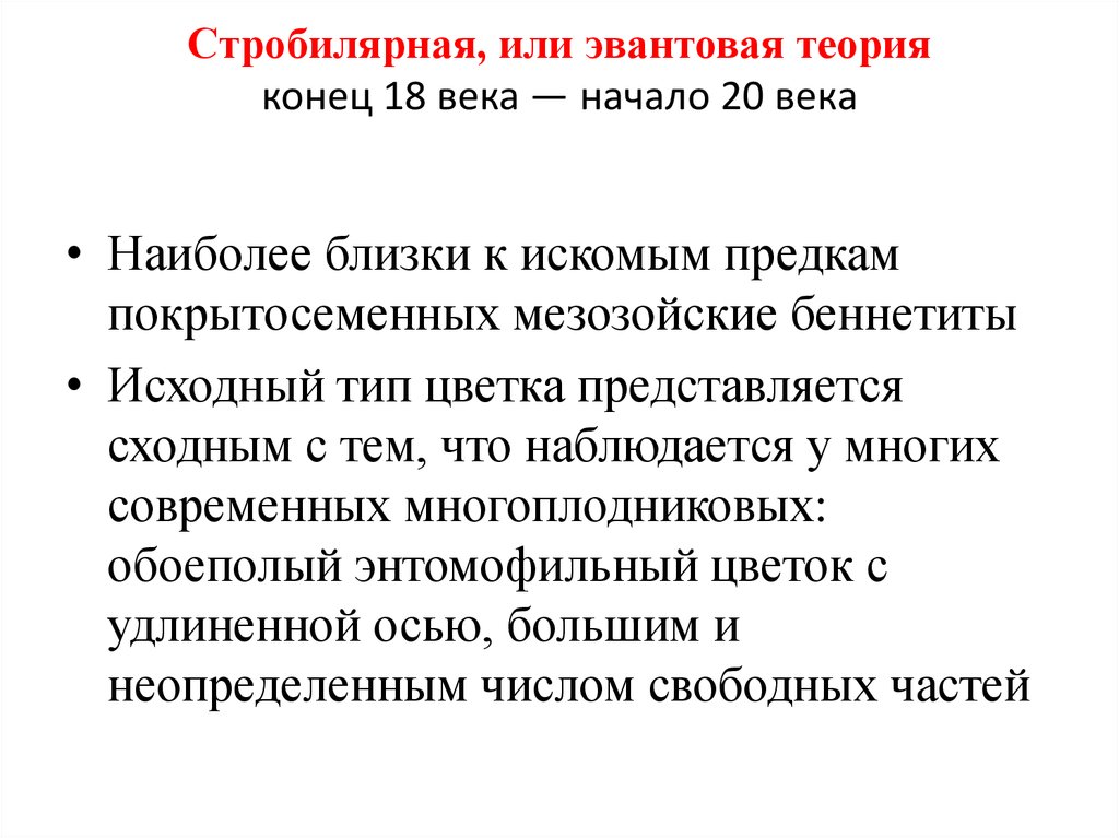 Теория конца. Стробилярная теория. Эвантовая теория. Стробилярная и эвантовая теория. Псевдантовая теория.