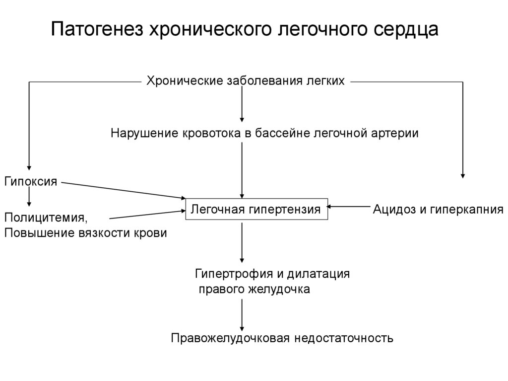 Схема патогенеза хобл