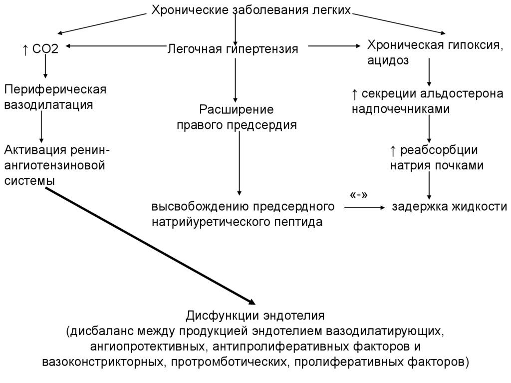 Схема лечения легочной гипертензии