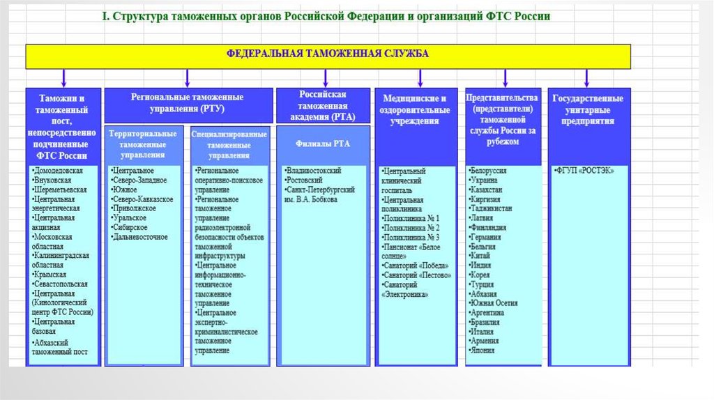 Структура таможенных органов схема