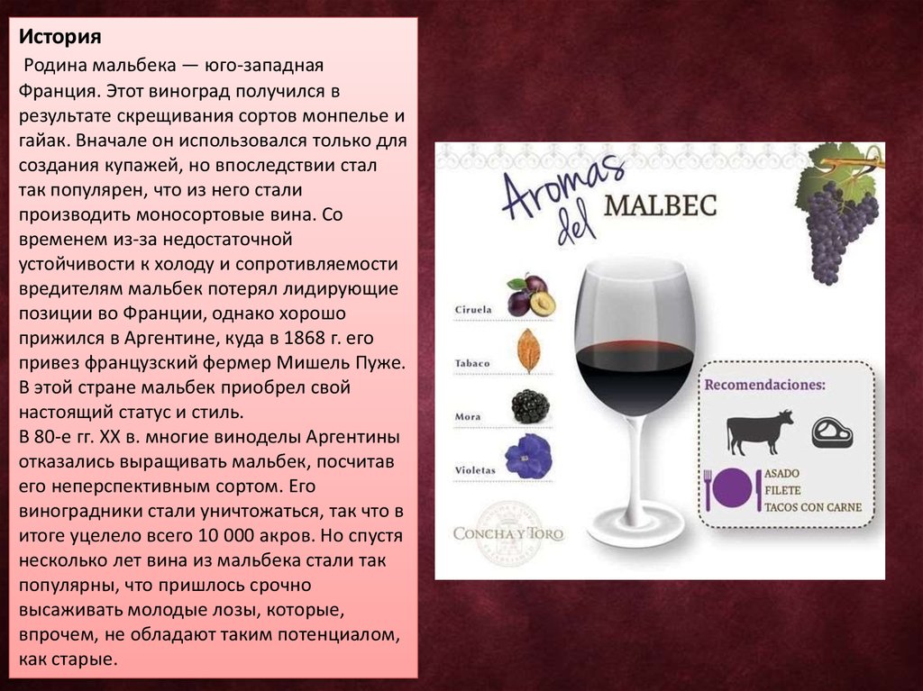 Сколько вина можно в пост. Характеристики сорта Мальбек. Виноградик презентация. Всемирный день винограда «Мальбек». Мальбек особенности сорта.