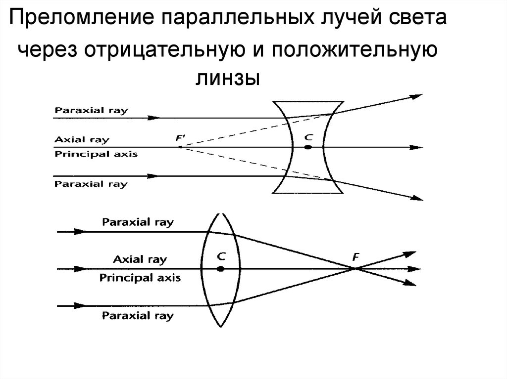 Чертеж линзы