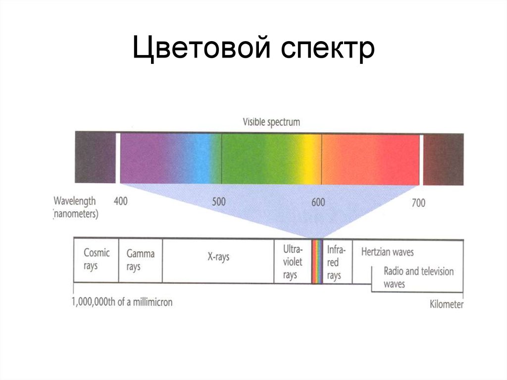 Правильная последовательность цветов в спектре