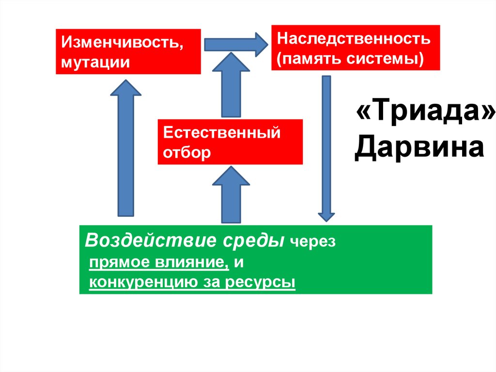 Естественный отбор мутации. Триада Дарвина. Наследственность изменчивость естественный отбор. Мутации и естественный отбор. Мутационная изменчивость естественный отбор.