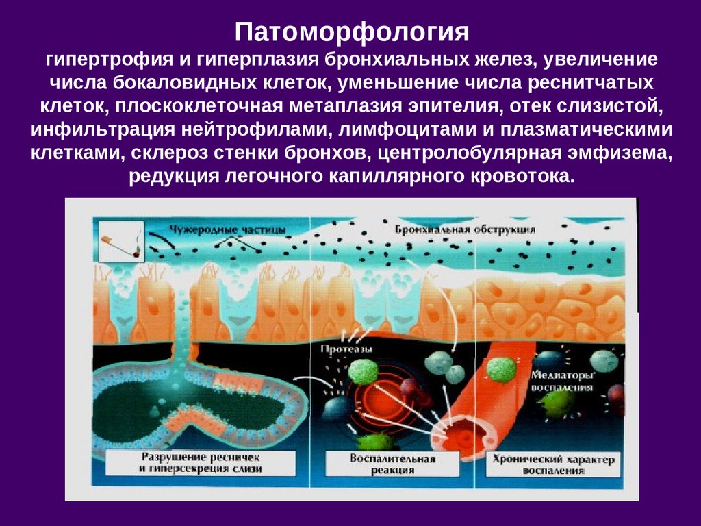 Железа роста