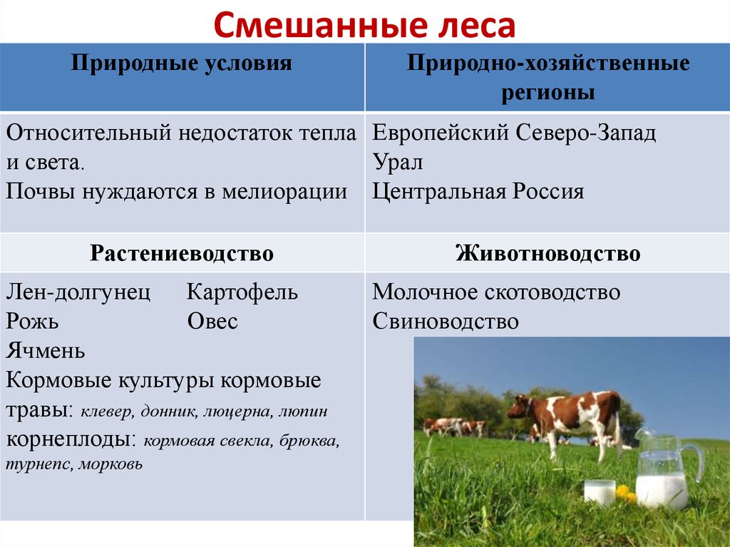 Для центральной россии характерно скотоводство. Отрасли растениеводства и животноводства. Зона смешанных лесов отрасль животноводства. Специализация сельского хозяйства. Растениеводство в смешанных лесах.