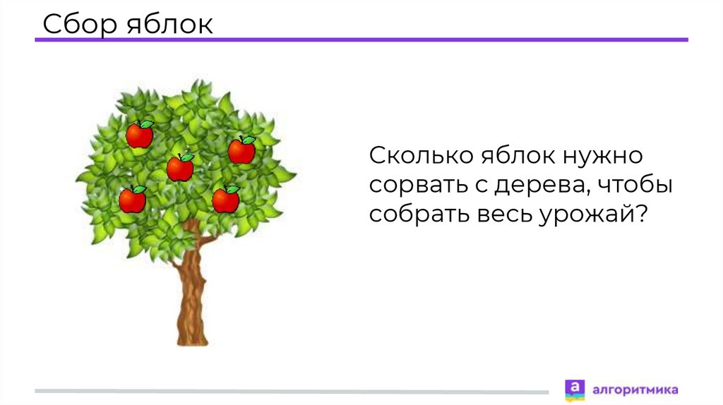 Сколько яблок собирают с яблони. Информатика сбор яблок. Объявление на сбор яблок. Собрать яблоки с дерева алгоритм. Раскладки сбор яблок комбинаторика.