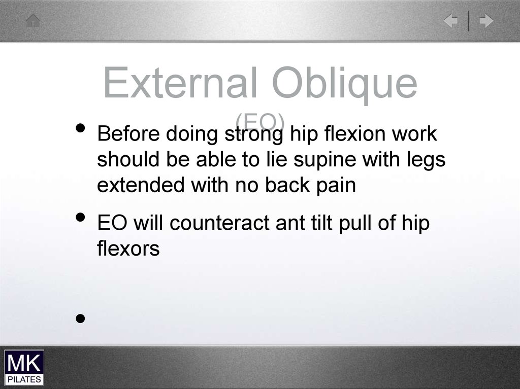 External Oblique (EO)