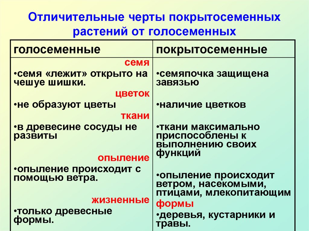 Голосеменные растения и покрытосеменные растения презентация