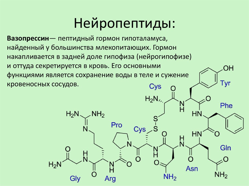 Комплекс полипептидов. Гормон вазопрессин химическое строение. Вазопрессин химическая структура. Антидиуретический гормон структура. Строение вазопрессина биохимия.