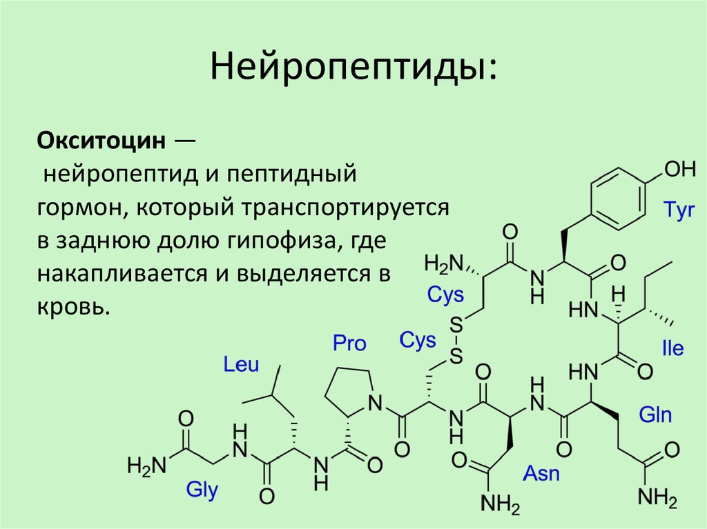 Комплекс полипептидов. Пептидные и белковые гормоны формулы. Нейропептиды биохимия. Нейропептиды строение. Пептидные нейропептиды.