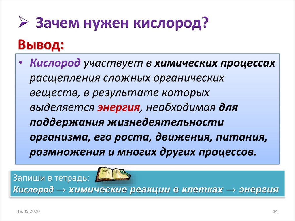 Зачем организму