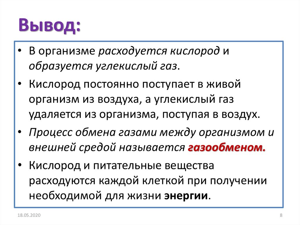 Можно ли жить и не дышать презентация 5 класс