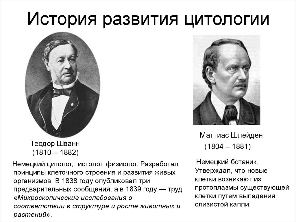 Благодаря созданию. Теодор Шванн немецкий цитолог гистолог. История развития науки цитология. Краткая история развития цитологии. История открытий в цитологии.