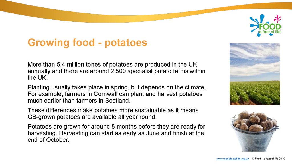 How many potatoes have we got. How much Potatoes или how many Potatoes. Основатель grow food. Grow food реклама. More Potatoes перевод.