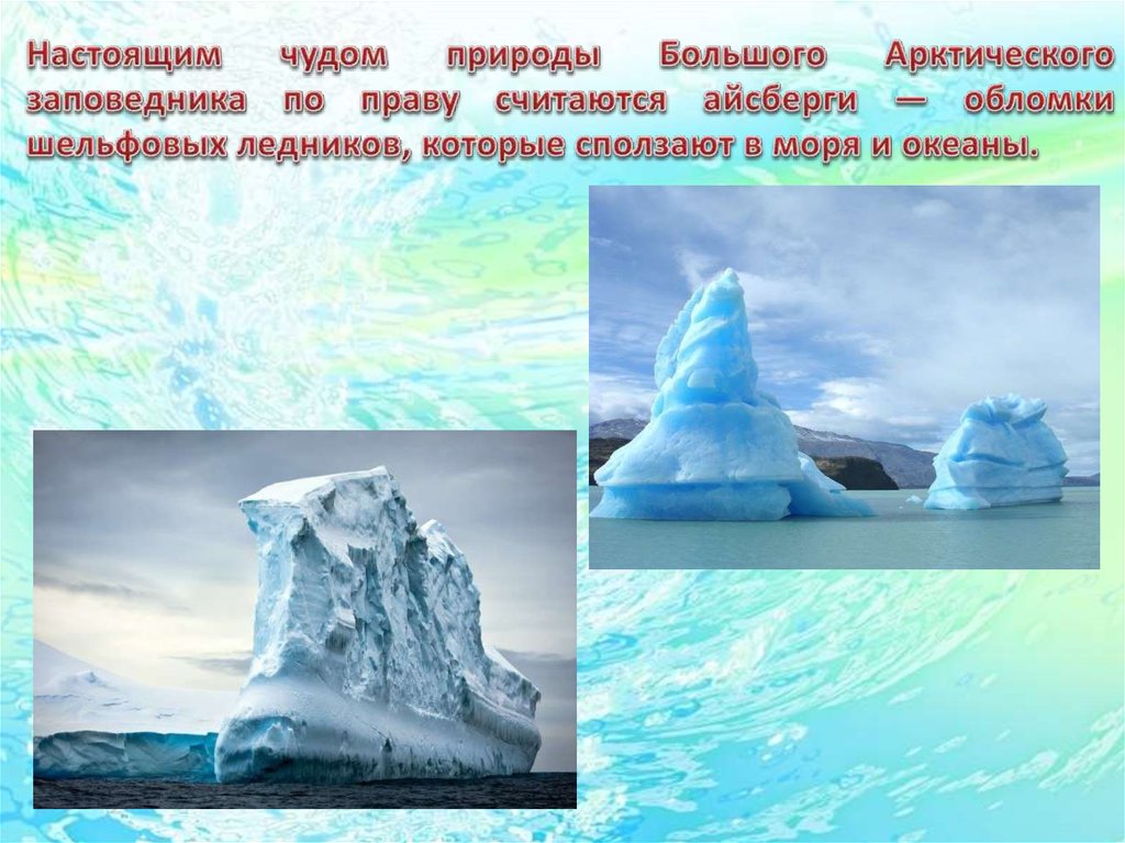 Название заповедников расположенных в зоне арктических пустынь. Большой Арктический заповедник презентация. Большой Арктический заповедник информация. Заповедник Арктики презентация. Большой Арктический заповедник проект.