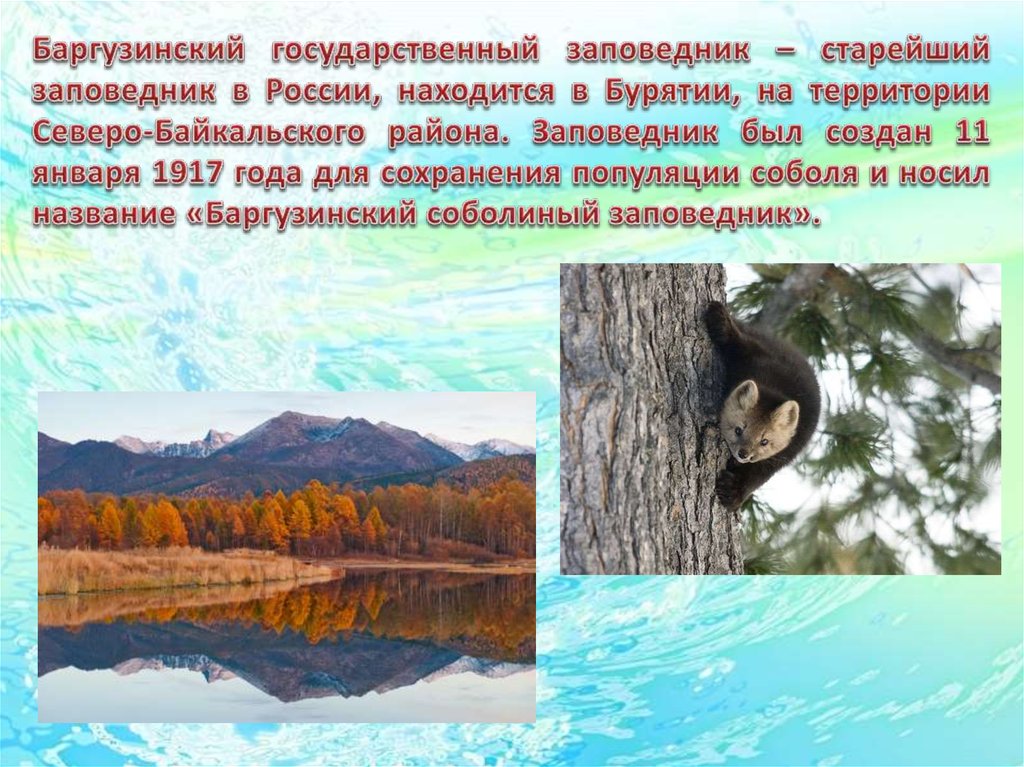 Сообщение о заповеднике. Заповедники России презентация. Старейший заповедник России. Самый старый заповедник России. Презентация для детей заповедники России.