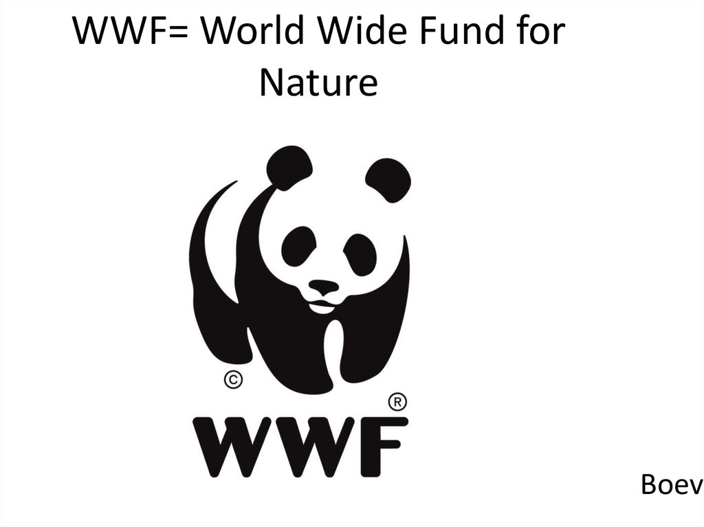 WWF World Wide Fund for Nature - online presentation