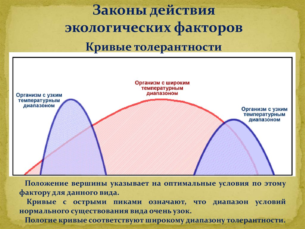 Границы фактора. Кривая толерантности. Кривая толерантности в экологии. Влияние экологических факторов на организмы. Схема действия экологического фактора на организм.