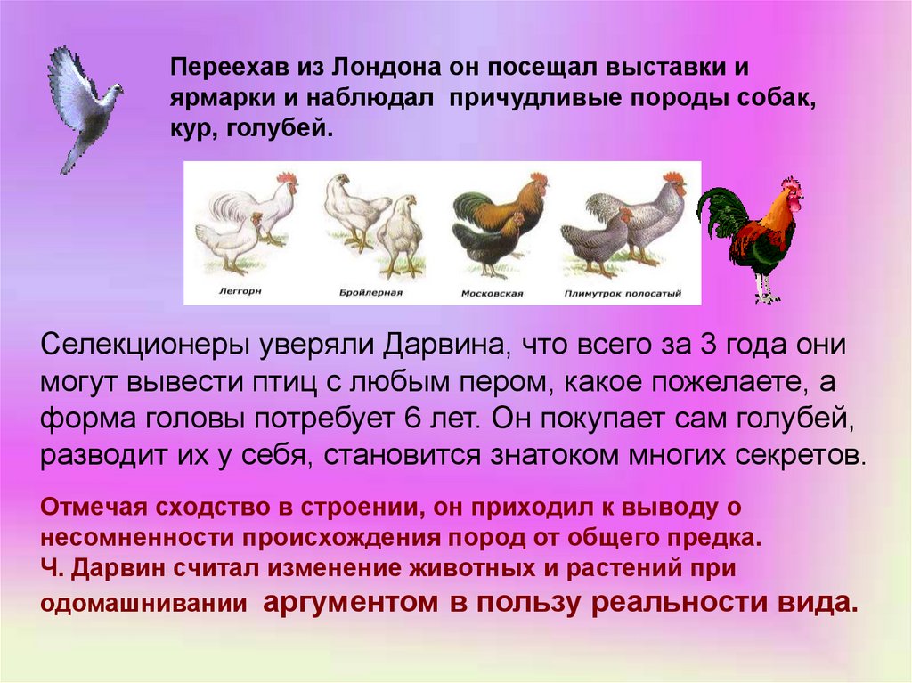 Эволюционные изменения птиц. Эволюционное учение 9 класс. Дарвин изменчивость животных и растений при одомашнивании. Эволюционное учение это наука изучающая. Эволюционное учение картинки.