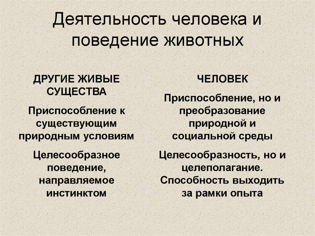 Человеческая деятельность это