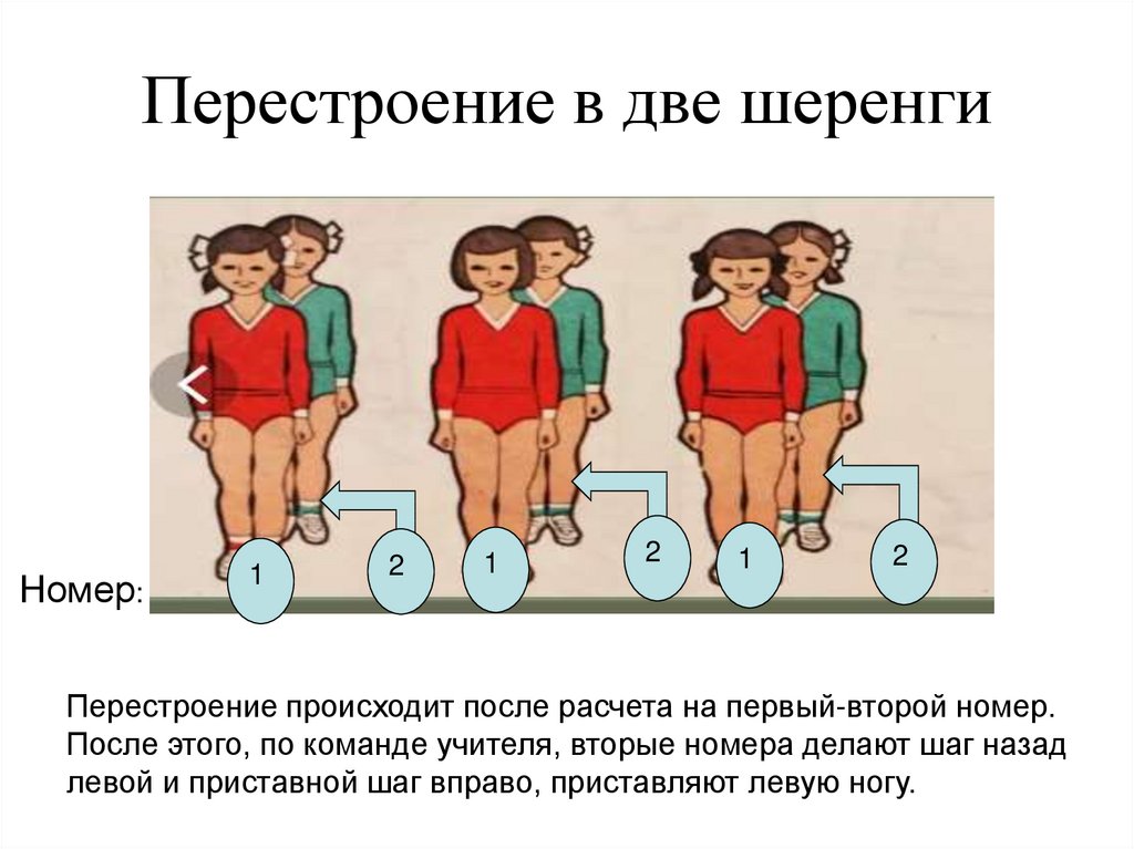 Перестроение из одной шеренги в две и обратно схема