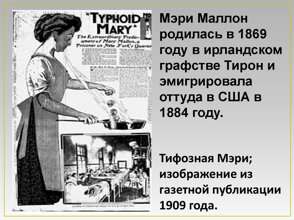 Мэри Маллон родилась в 1869 году в ирландском графстве Тирон и эмигрировала оттуда в США в 1884 году. Тифозная Мэри;