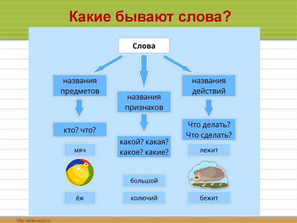 Основные виды планов запиши лишнее