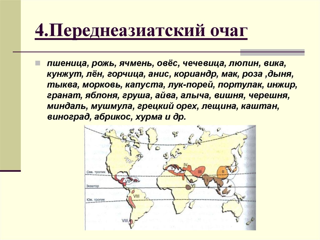 Центры происхождения культурных растений презентация 10 класс