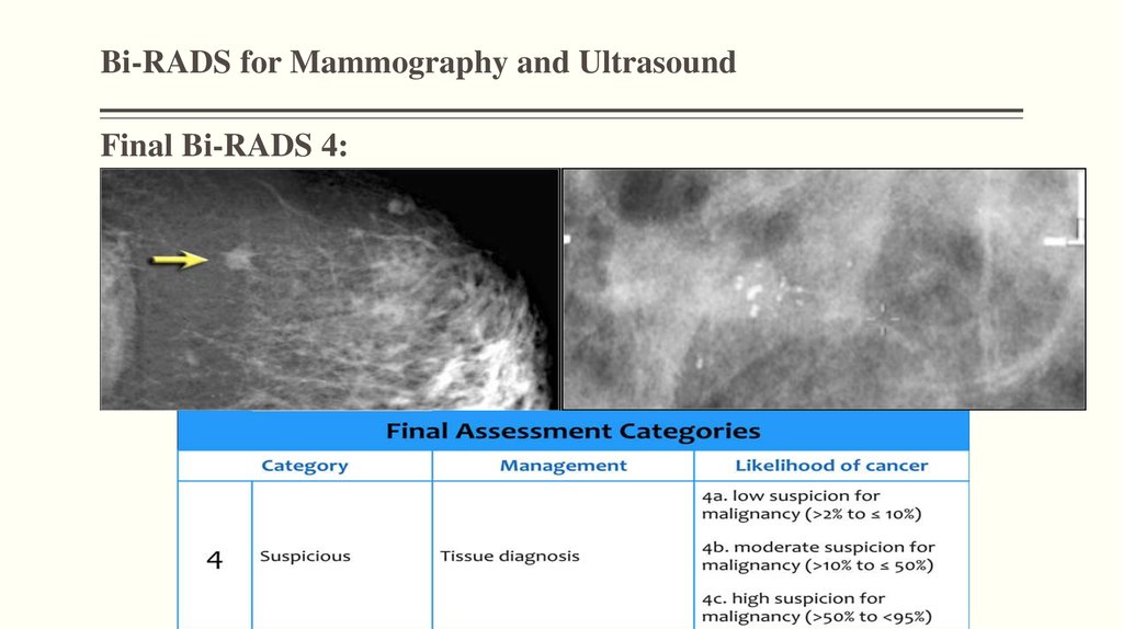 Rads r. Bi-rads 3 молочной железы маммограмма. УЗИ молочных желез birads. Маммография молочных bi-rads 2.