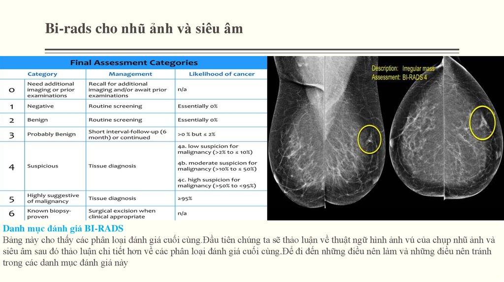 Категории маммографии. Маммография birads 4. Маммография классификация bi-rads. Маммография молочных желез ACR 3 birads 1. Маммография молочных желез ACR Тип 3 birads 2.