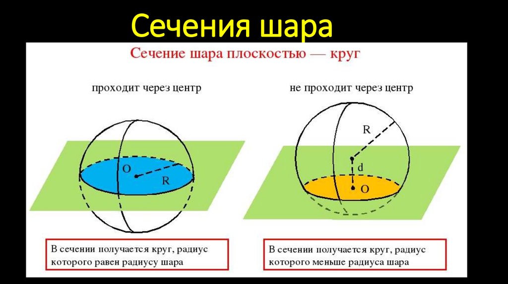 Центр сечения шара