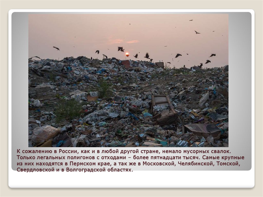 К сожалению в России, как и в любой другой стране, немало мусорных свалок. Только легальных полигонов с отходами – более