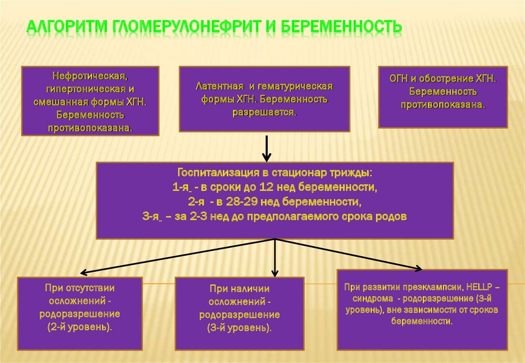 Гломерулонефрит казакша презентация