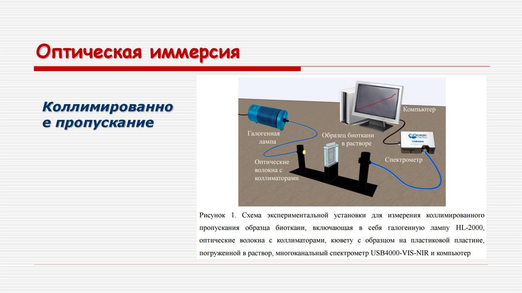 Оптическая иммерсия