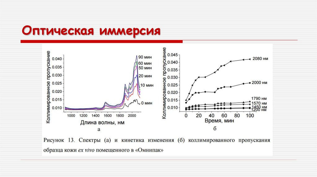 Оптическая иммерсия