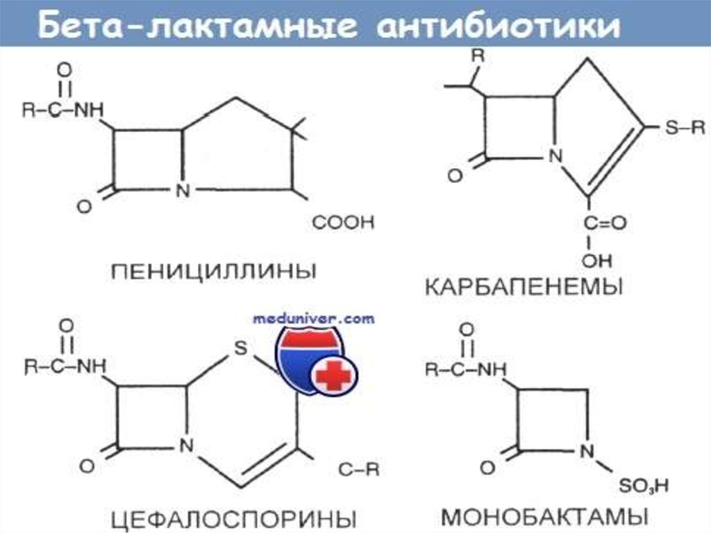 Бета лактамные антибиотики