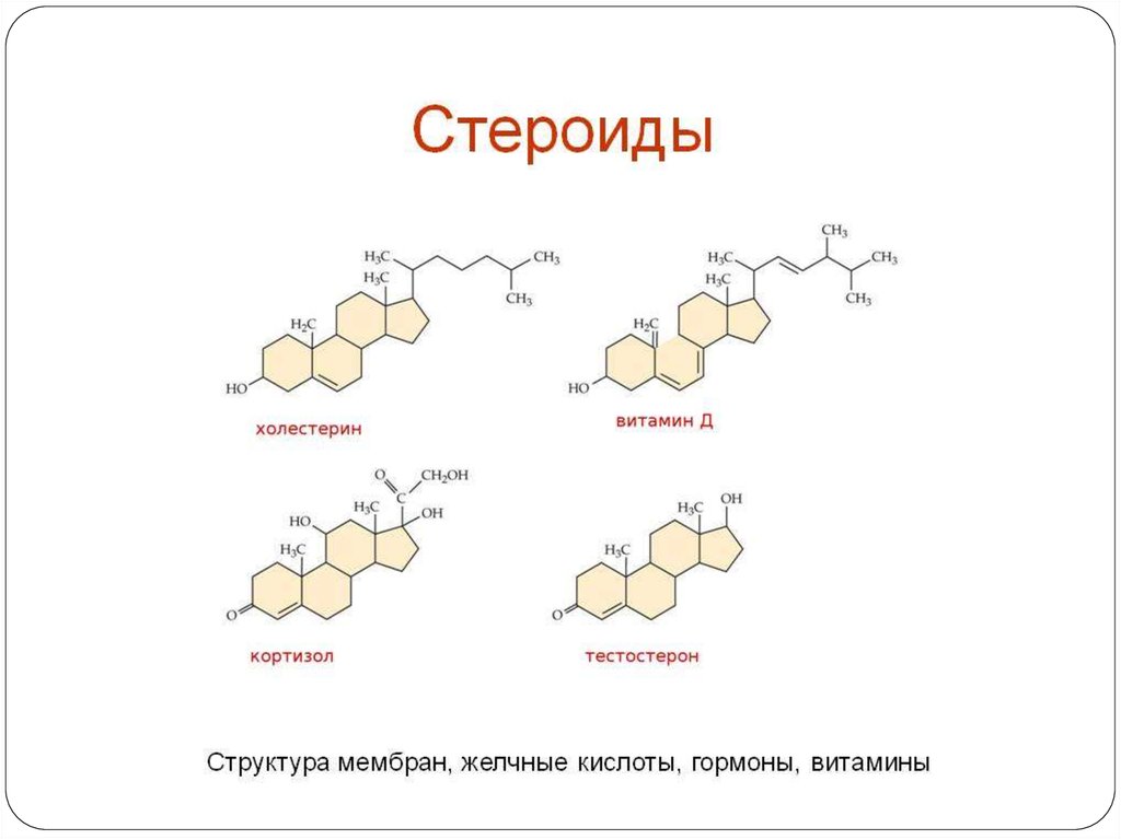 Биологическая роль холестерина. Химическая формула стероидов. Стероиды структурная формула. Анаболические стероиды структурные формулы. Химическая структура стероидных гормонов.
