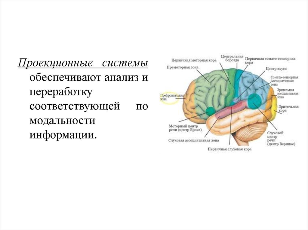 Ассоциативные системы