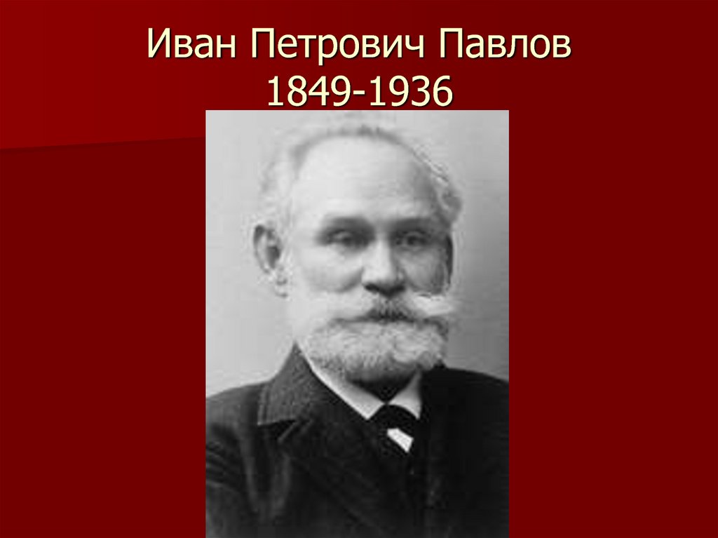 Иван Петрович Павлов 1849-1936