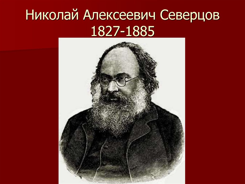 Николай Алексеевич Северцов 1827-1885