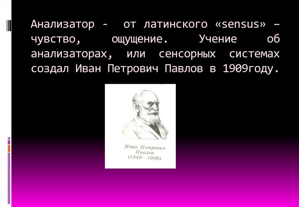 Учение об анализаторах разработано