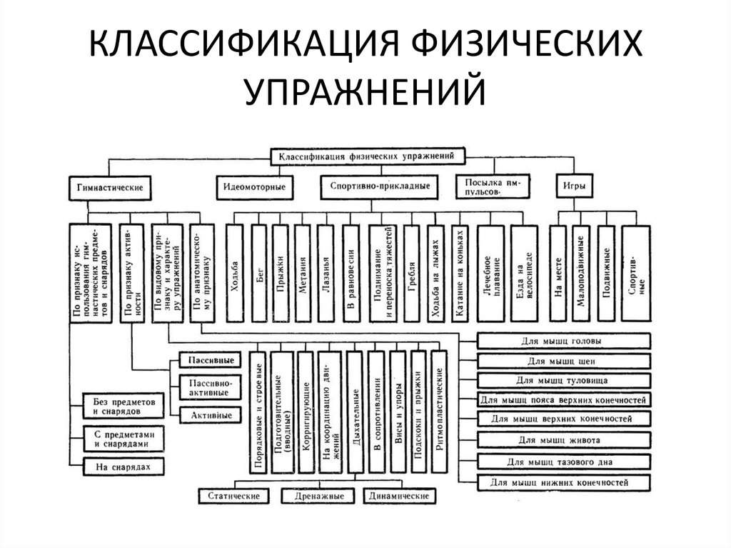 Комплекс основных характеристик. Классификация гимнастических упражнений в ЛФК. Классификация физических упражнений используемых с лечебной целью. Схема классификация физических упражнений для дошкольников. Классификация прикладных упражнений в гимнастике.