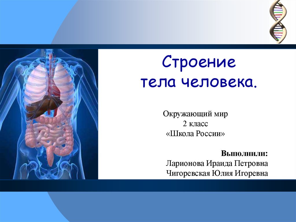 Организм человека 3 класс презентация школа россии презентация