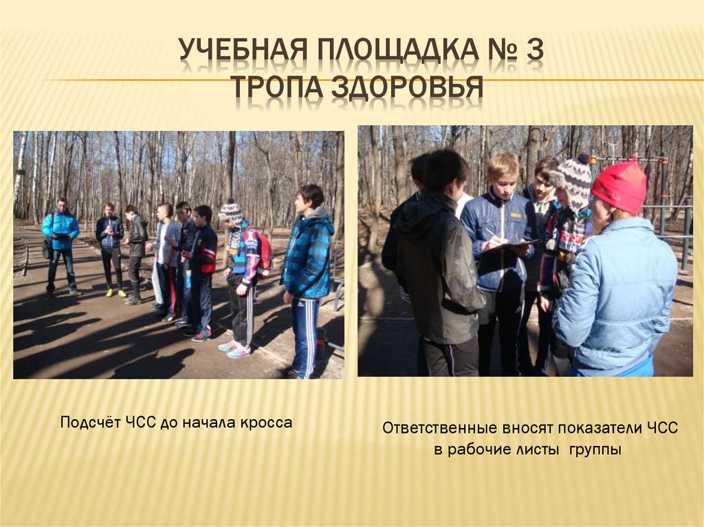 Учебная Площадка № 3 Тропа здоровья