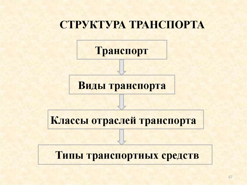 Структура транспорта. Структура транспорта у животных.