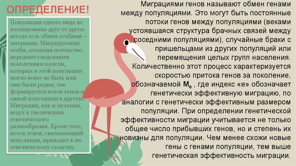 ОПРЕДЕЛЕНИЕ!