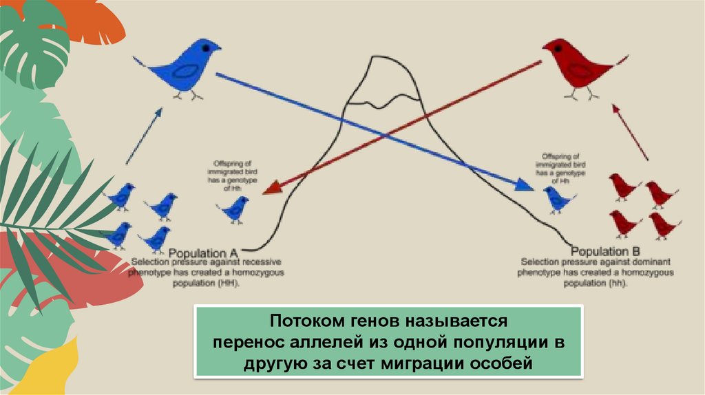 Мигрирующий геном что это такое проект по биологии